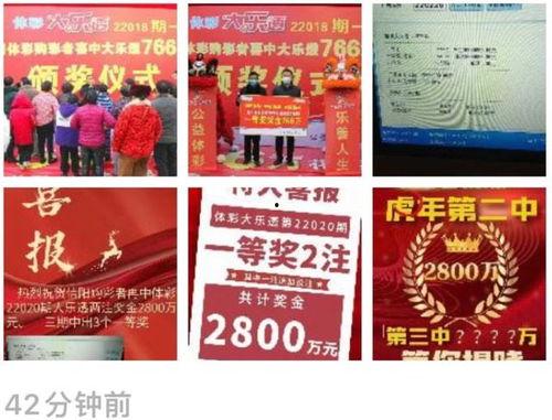 大乐透内幕爆料最新,独家爆料带你走进彩票世界