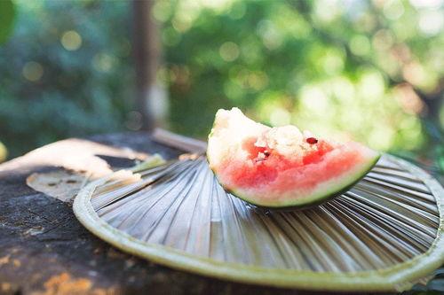 吃瓜君免费吃瓜入口,畅享瓜界盛宴！  第1张