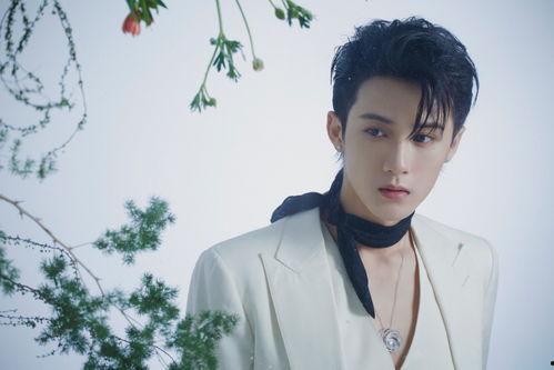 狗仔爆料檀健次的视频,狗仔爆料背后的真相揭秘  第2张