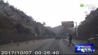 留坝县导游爆料案例最新,一场惊心动魄的旅游安全危机  第1张